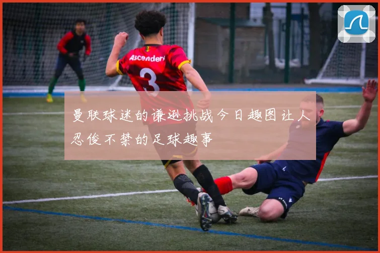 曼联球迷的谦逊挑战今日趣图让人忍俊不禁的足球趣事