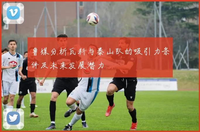 鲁媒分析瓦科与泰山队的吸引力条件及未来发展潜力