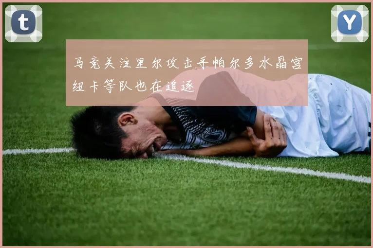 马竞关注里尔攻击手帕尔多水晶宫纽卡等队也在追逐