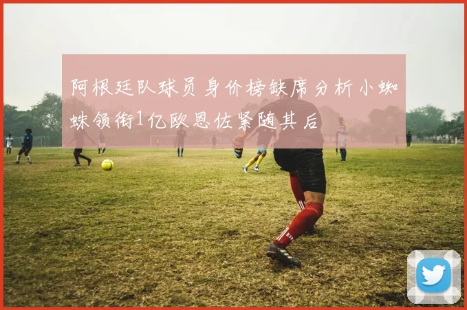 阿根廷队球员身价榜缺席分析小蜘蛛领衔1亿欧恩佐紧随其后
